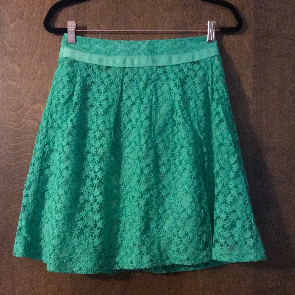 Limited embroidery skirt
